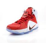Баскетбольные кроссовки Nike Lebron 12 "Lion Heart" | 684593-601
